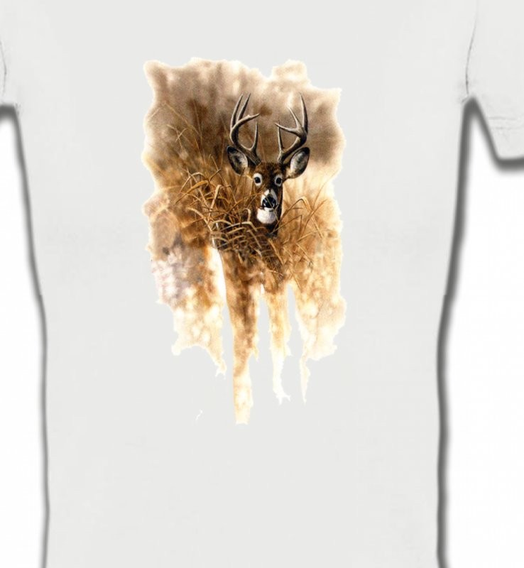 Cerf en forêt