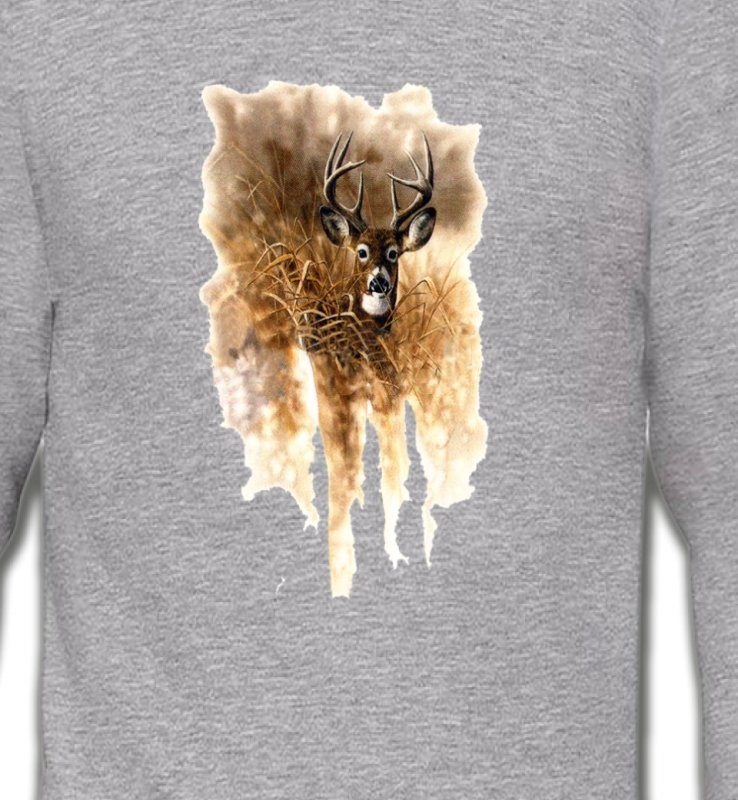 Cerf en forêt