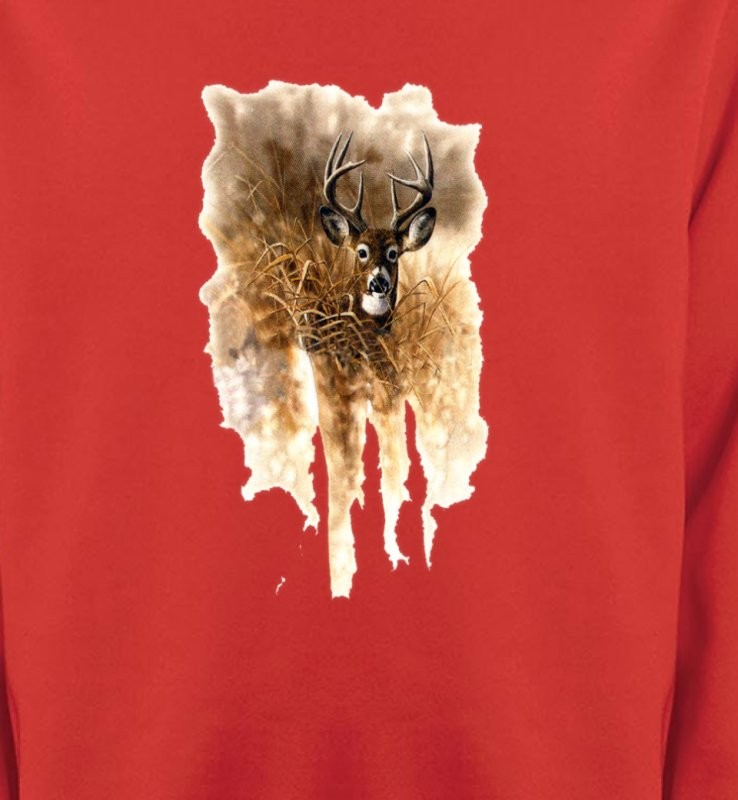 Cerf en forêt