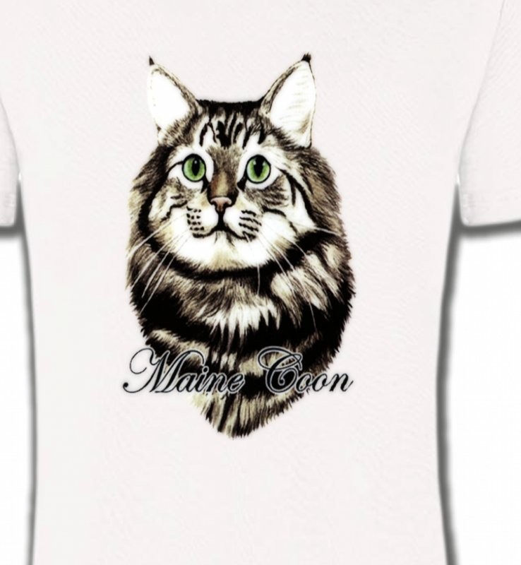 Chat Maine Coon (A)