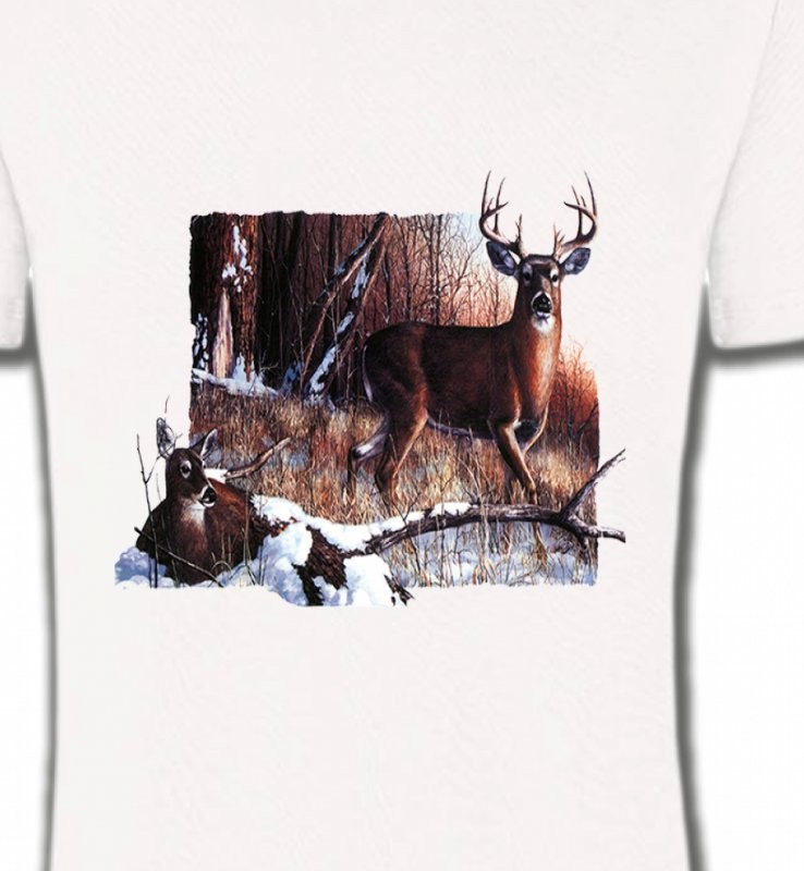 Un cerf et sa biche