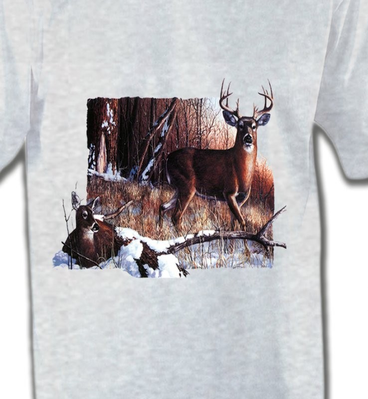 Un cerf et sa biche