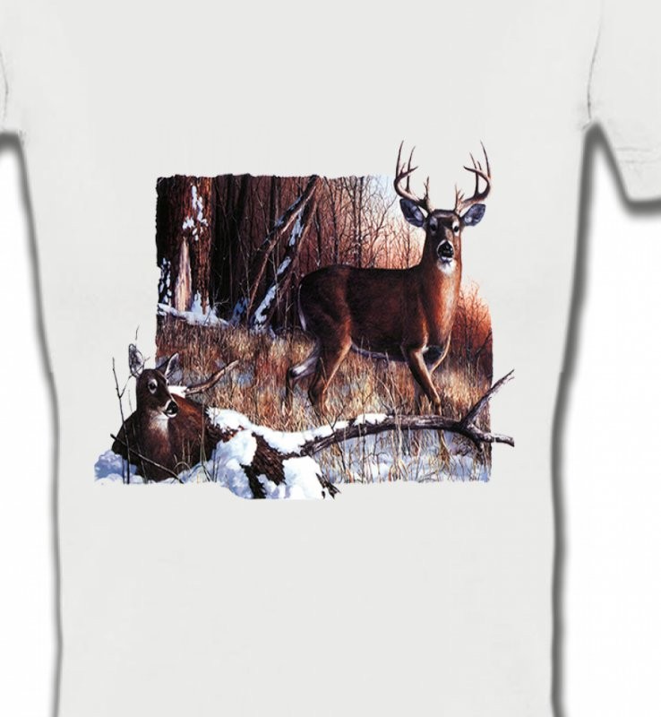 Un cerf et sa biche