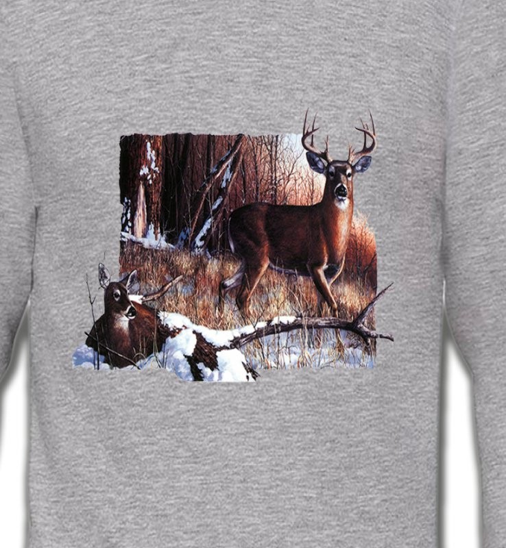 Un cerf et sa biche