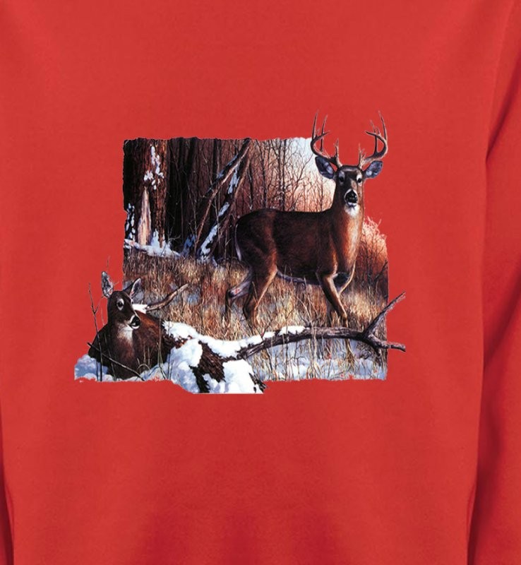 Un cerf et sa biche
