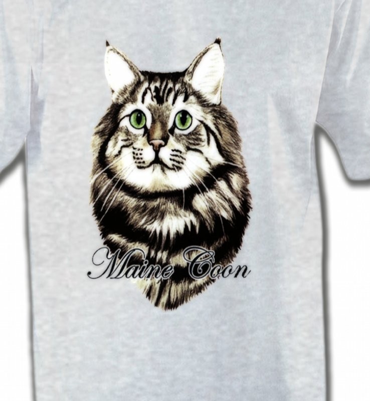 Chat Maine Coon (A)