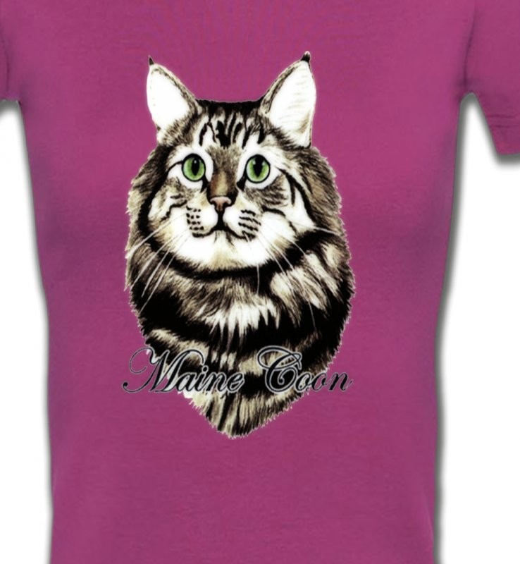 Chat Maine Coon (A)