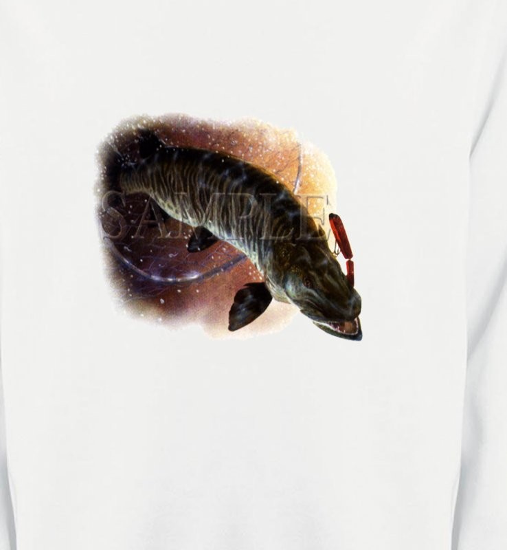 Poisson brochet