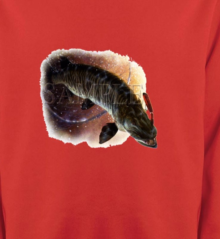 Poisson brochet
