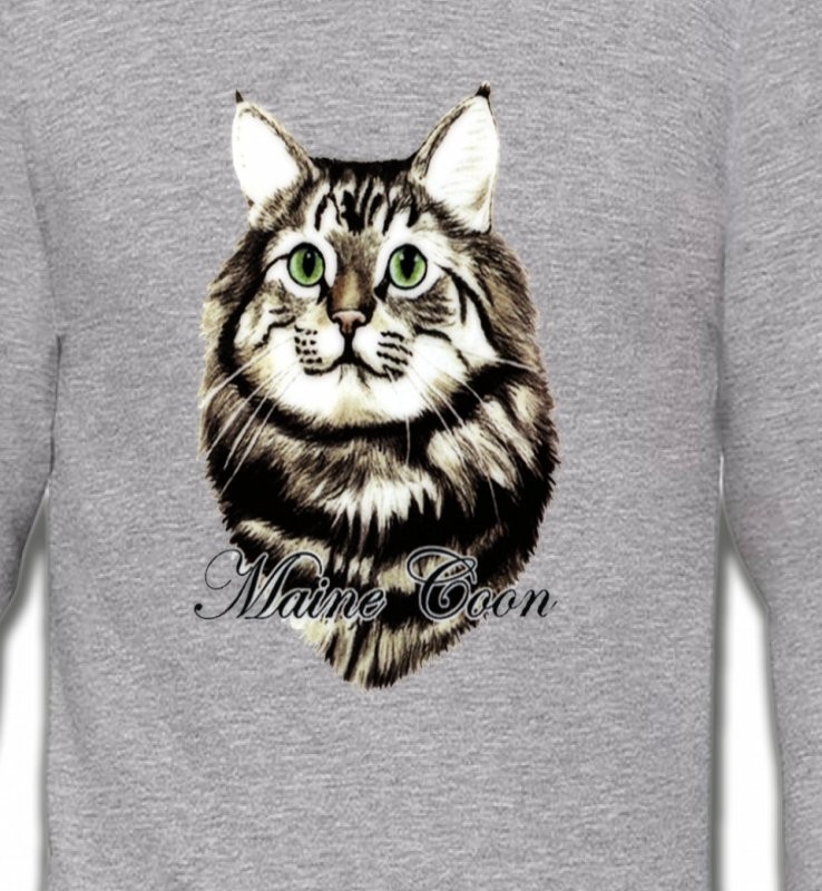 Chat Maine Coon (A)