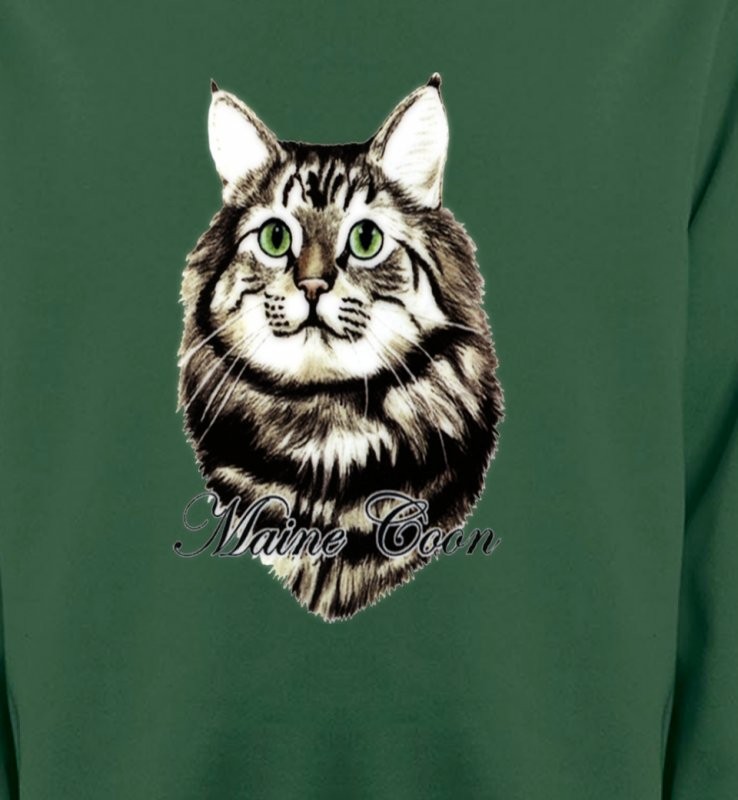 Chat Maine Coon (A)
