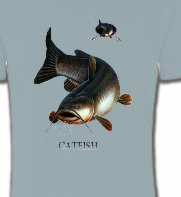 Poisson chat