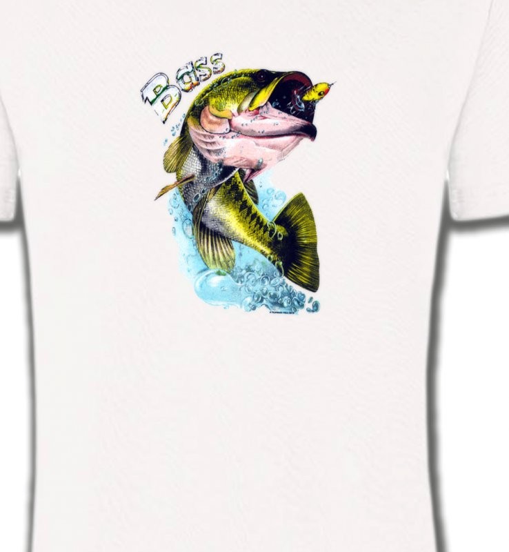 Bass