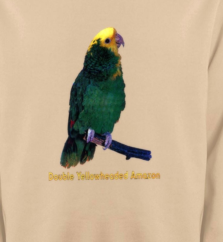 Perroquet Amazone à double front jaune (H)