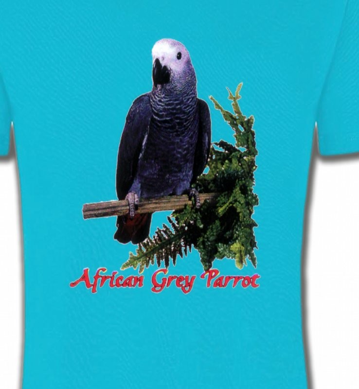 Perroquet Gris du Gabon (B)