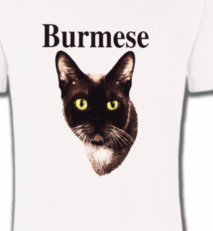 Chat Burmese