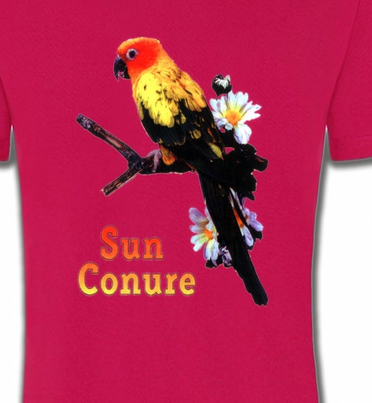 Perroquet Conure Soleil