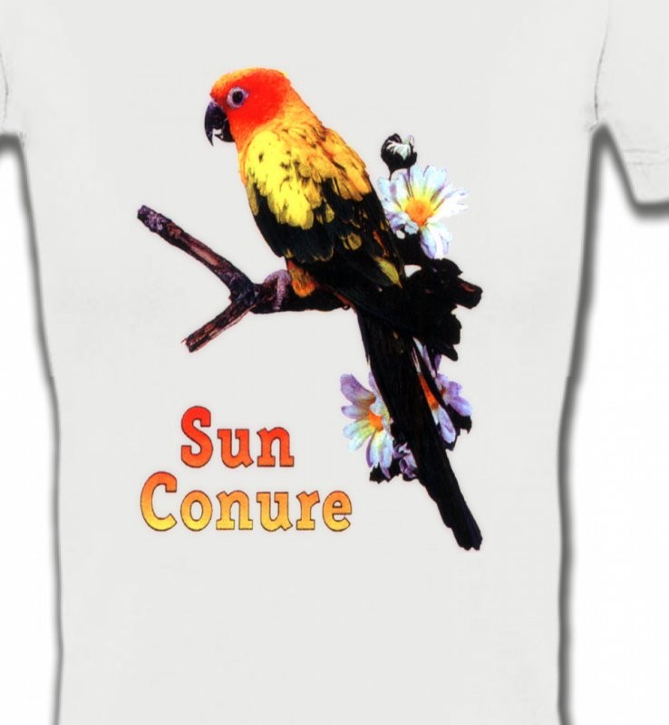 Perroquet Conure Soleil