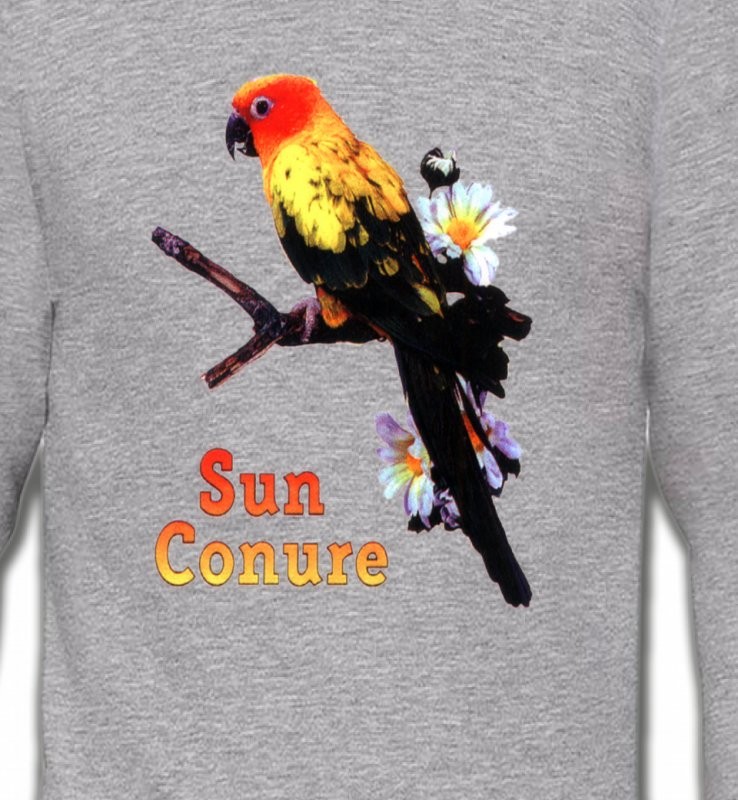 Perroquet Conure Soleil