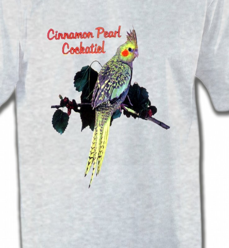 Perroquet Cockatiel Perlé (D)