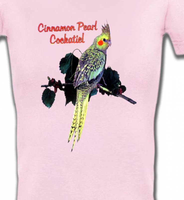 Perroquet Cockatiel Perlé (D)