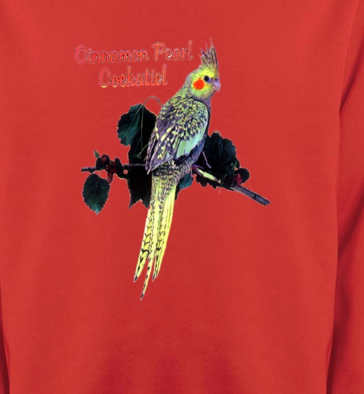 Perroquet Cockatiel Perlé (D)