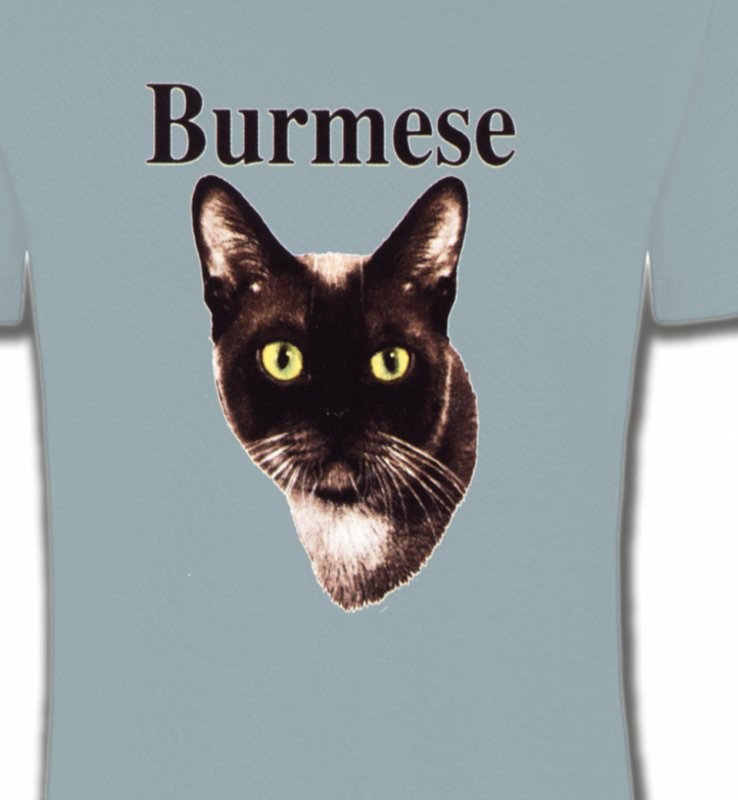 Chat Burmese