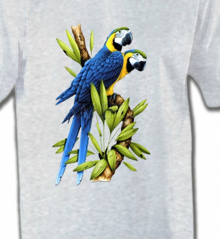 Couple de perroquet Ara ararauna bleu (R)