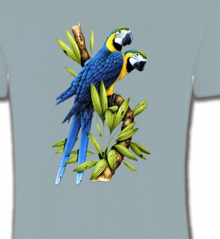 Couple de perroquet Ara ararauna bleu (R)