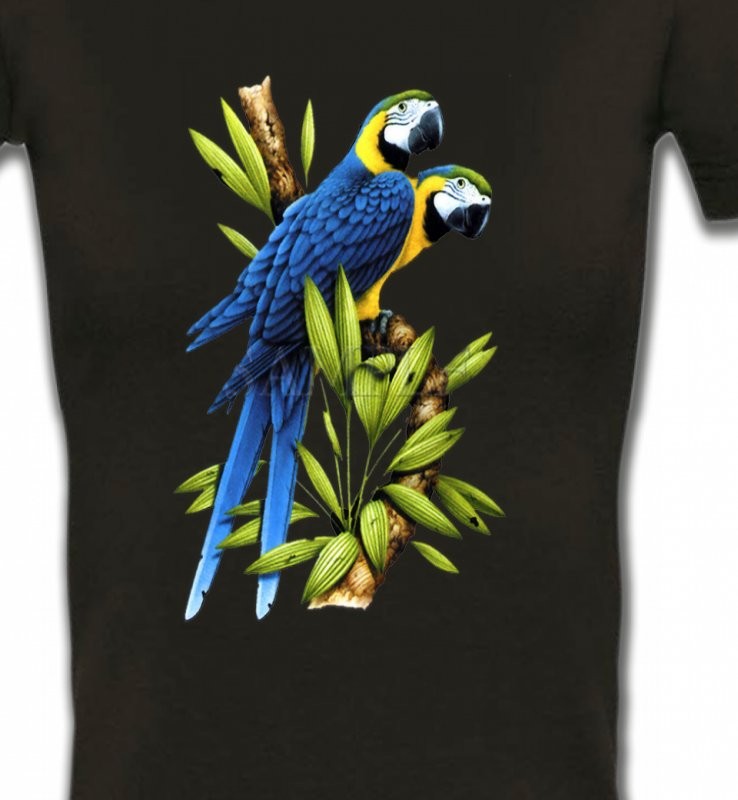 Couple de perroquet Ara ararauna bleu (R)