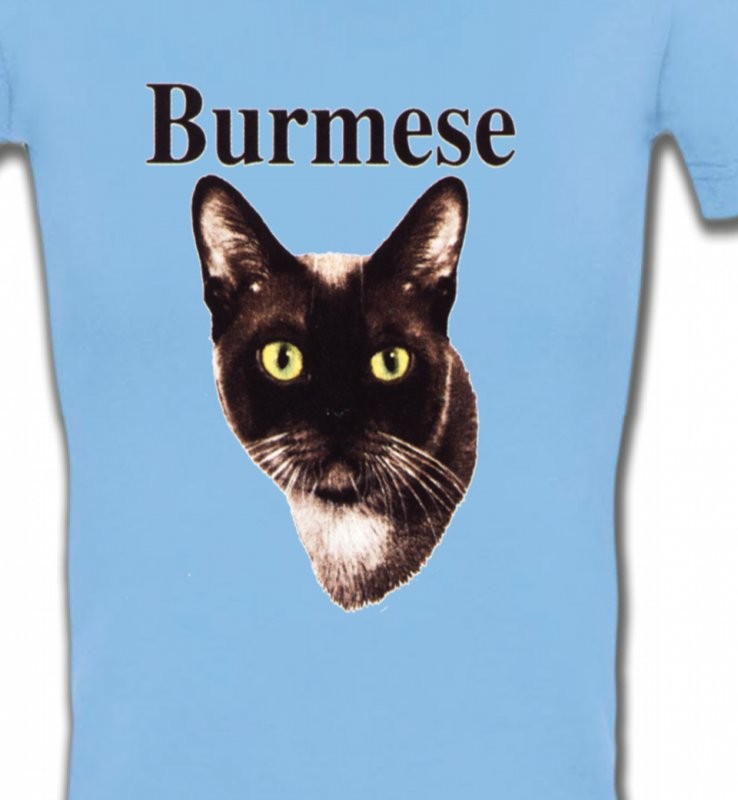 Chat Burmese