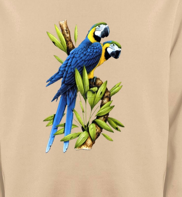 Couple de perroquet Ara ararauna bleu (R)