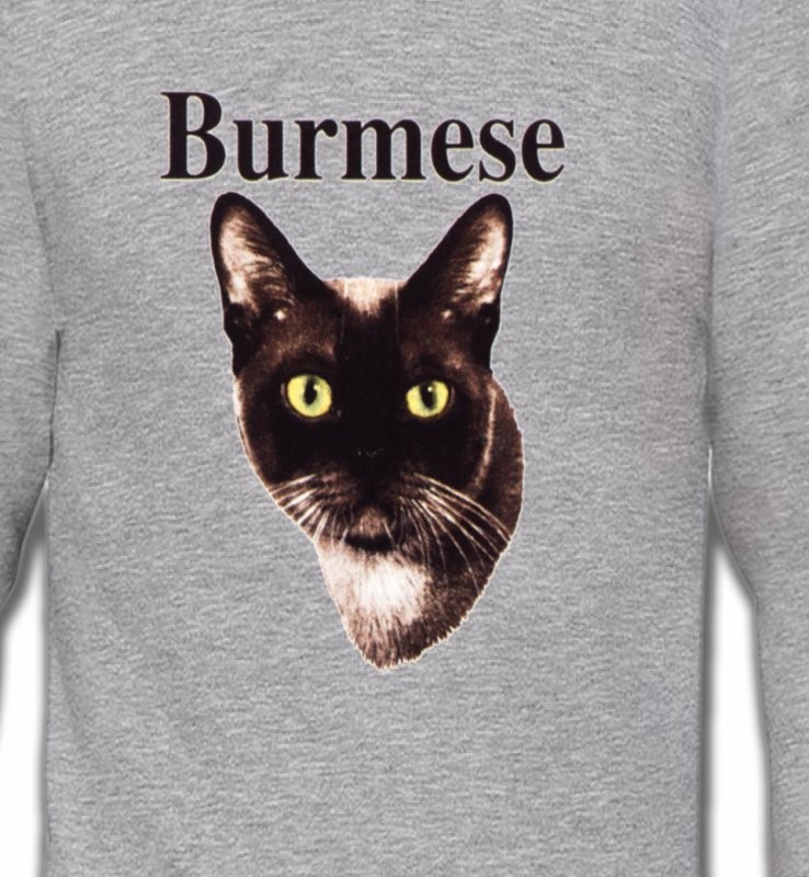 Chat Burmese