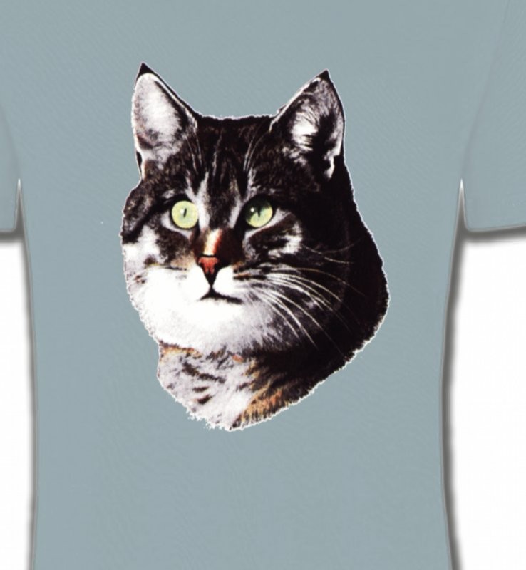 Chat (D2)