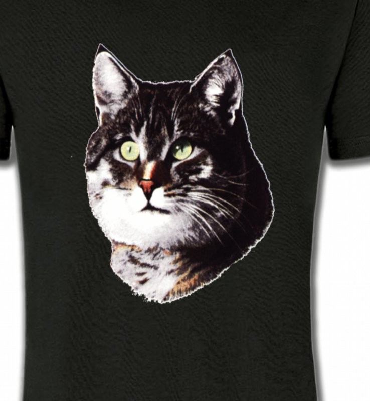 Chat (D2)