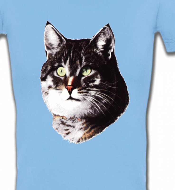 Chat (D2)