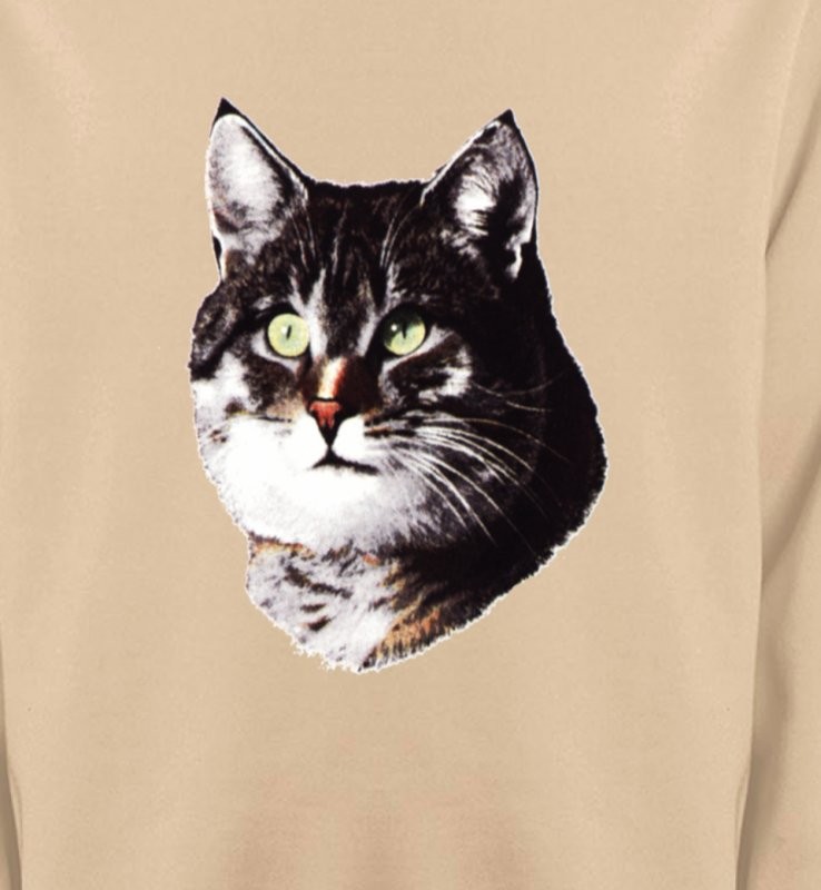 Chat (D2)