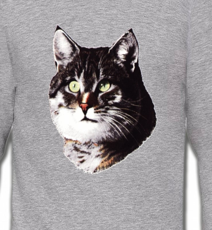 Chat (D2)