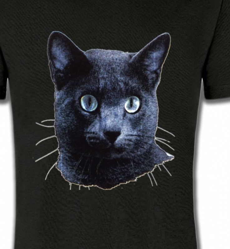 Chat russe (B2)