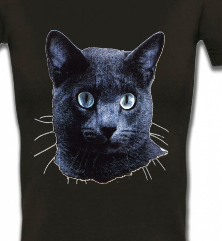 Chat russe (B2)