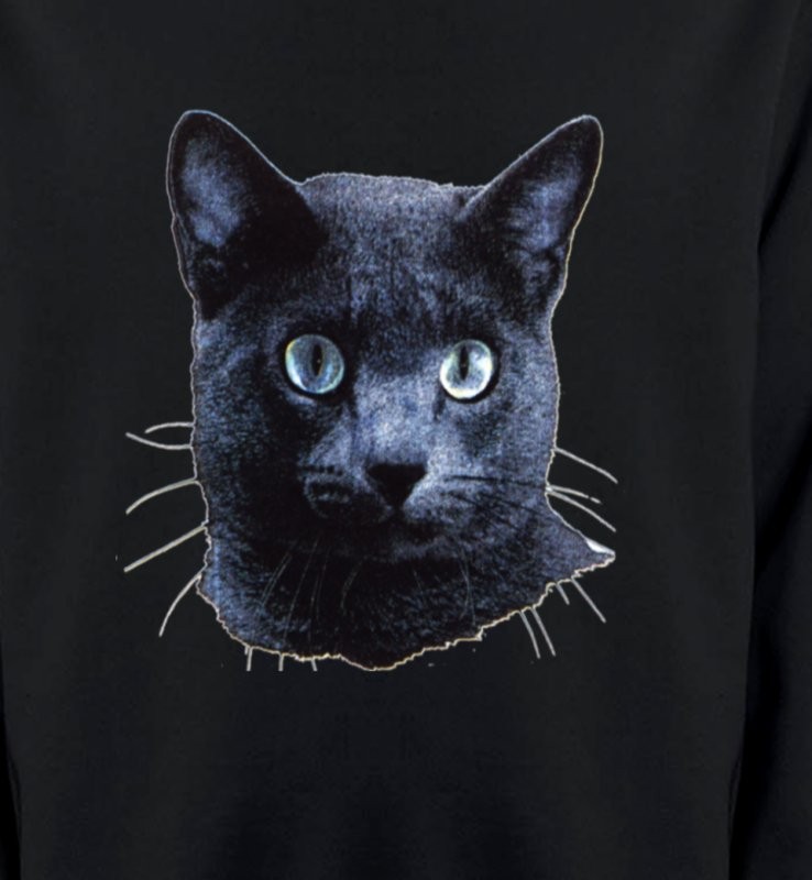 Chat russe (B2)