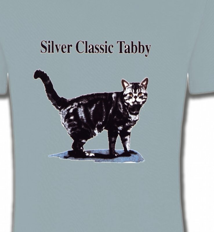 Chat tigré gris (Y)