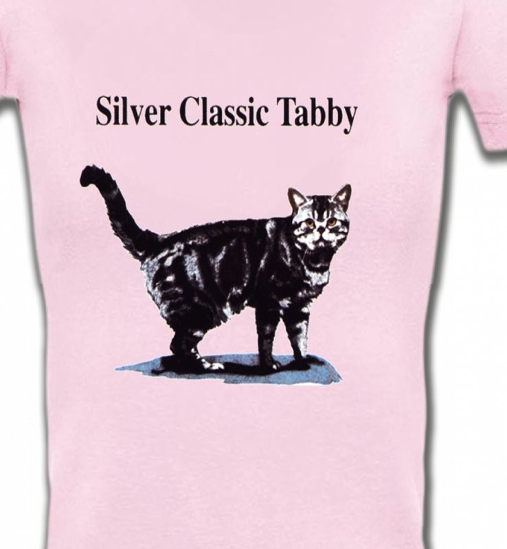 Chat tigré gris (Y)