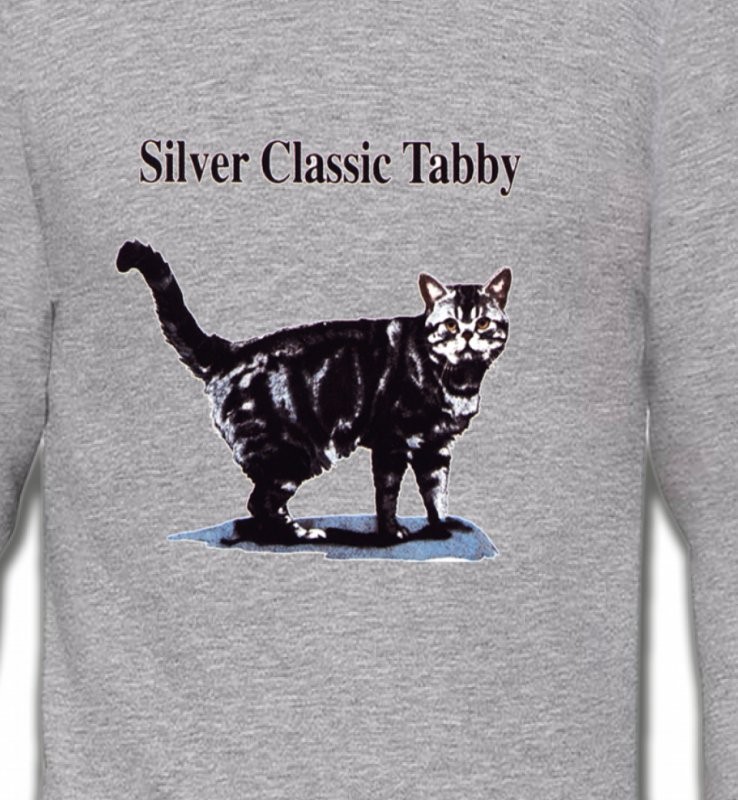Chat tigré gris (Y)
