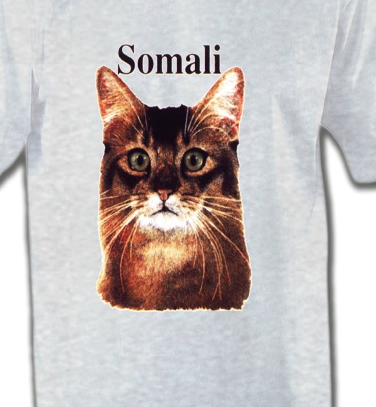 Chat Somali (X)