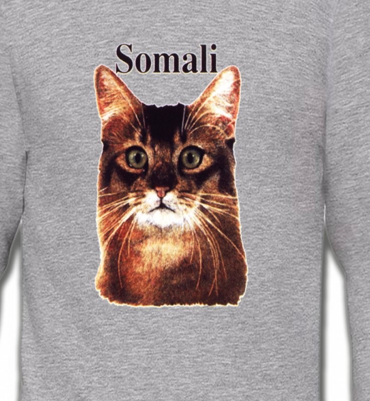 Chat Somali (X)