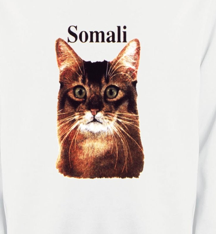 Chat Somali (X)