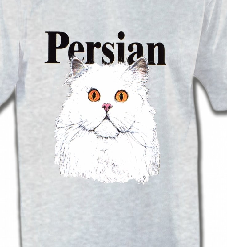 Chat Persan (H2)