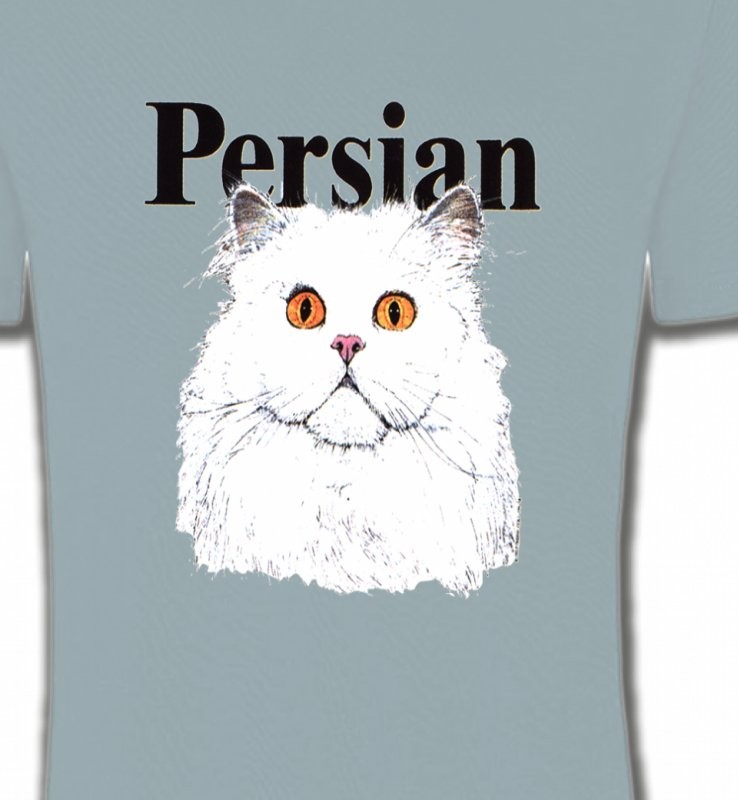 Chat Persan (H2)