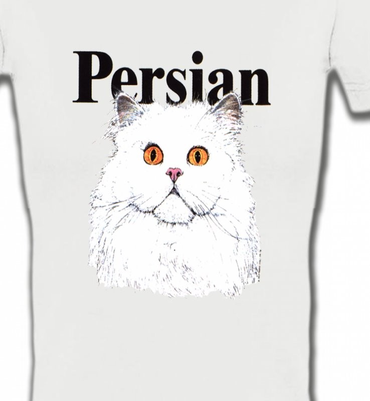 Chat Persan (H2)